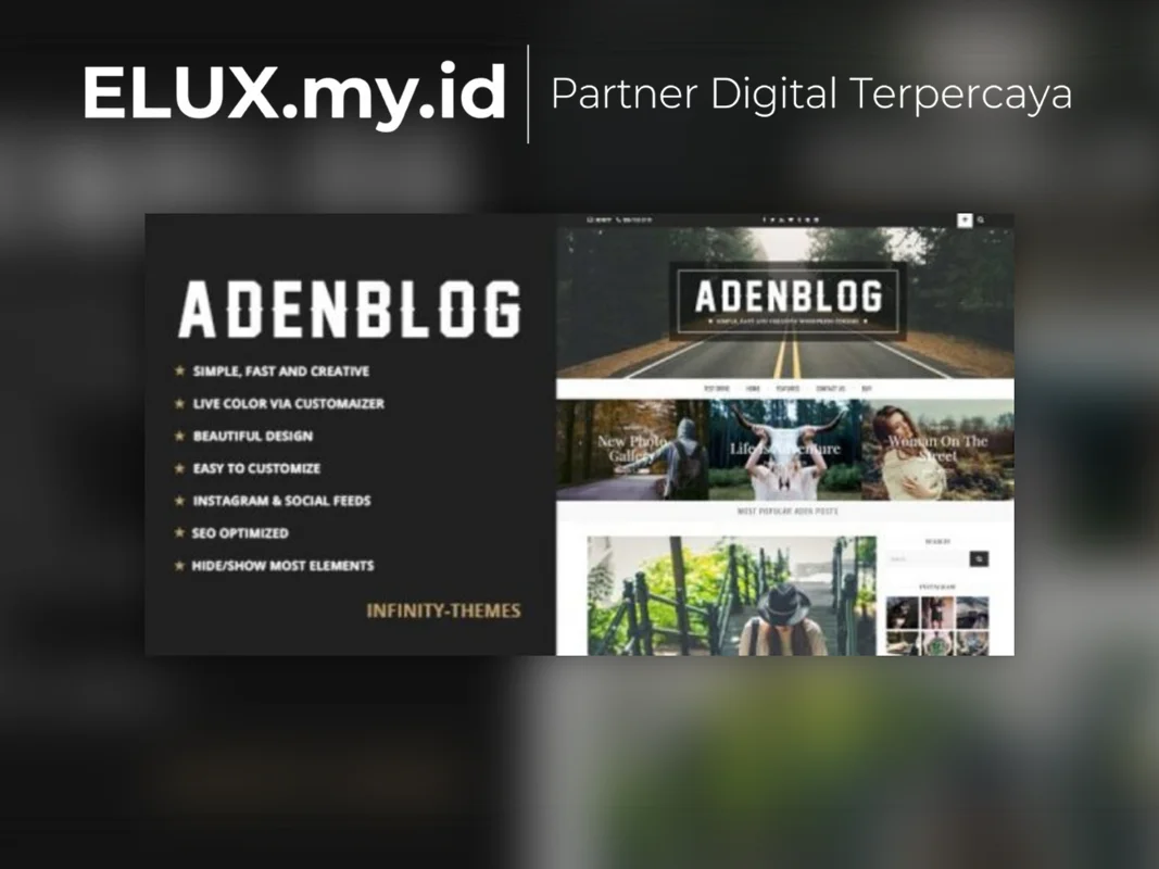Lisensi Resmi Aden A WordPress Blog Theme