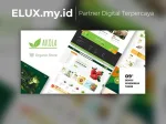 Akola - Organic & Food Store Wordpress Theme Akola Organic Food Store Wordpress Theme