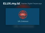 All-in-one WP Migration Url Extension Wordpress Plugin All In One Wp Migration Url Extension Wordpress