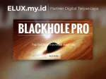Blackhole Pro - Trap Bad Bots In A Virtual Wordpress Plugin Blackhole Pro Trap Bad Bots In A Virtual