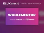 Codesigner Pro Formerly Woolementor Wordpress Plugin Codesigner Pro Formerly Woolementor Wordpress