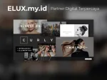 Curly - A Stylish Theme For Hairdressers And Hair Salons Wordpress Curly A Stylish Wordpress Theme For Hairdressers