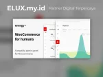 Energy Wordpress Plugin Energy Wordpress Plugin