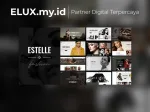 Estelle Fashion And Modelling Agency Wordpress