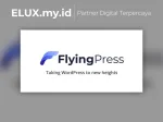 Flyingpress - Lightning-fast Wordpress On Autopilot Plugin Flyingpress Lightning Fast Wordpress On Autopilot