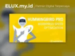 Hummingbird Pro Supercharge Wordpress Performance