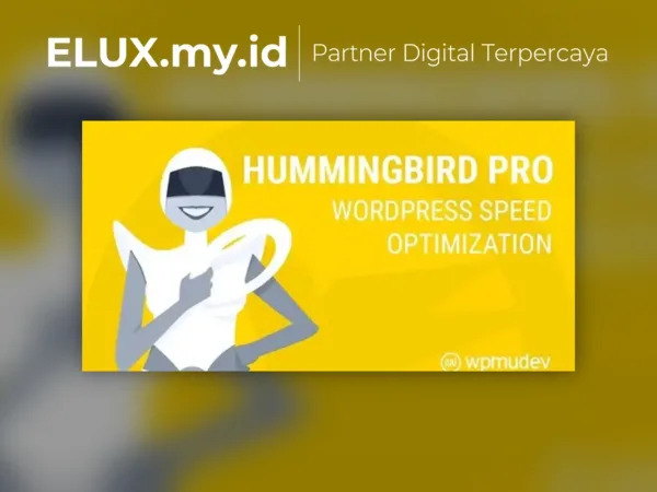 Foto Asli Hummingbird Pro Supercharge Wordpress Performance Plugin