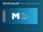 Mailster Email Newsletter Plugin For Wordpress
