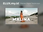 Malina - Personal Wordpress Blog Theme Malina Personal Wordpress Blog Theme
