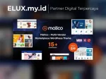 Matico - Multi Vendor Marketplace Wordpress Theme Matico Multi Vendor Marketplace Wordpress Theme