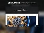 Original Moncler Food Blog Elementor Lifetime Template Kit Moncler Food Blog Elementor Template Kit Lifetime