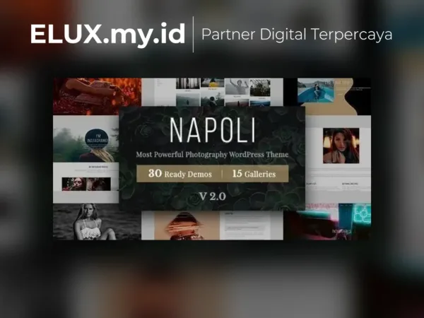 Jual Napoli Photography Wordpress Theme