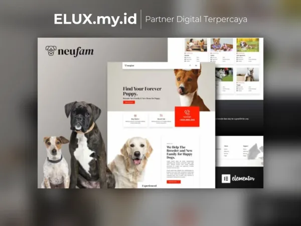 Lisensi Resmi Neufam Dog Breeder Kennel Club Elementor Template Kit Lifetime