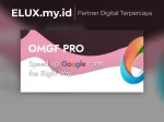 Omgf Pro Host Google Fonts Locally For Wordpress