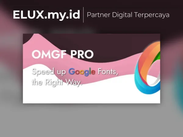 Lisensi Resmi Omgf Pro Host Google Fonts Locally For Wordpress Plugin