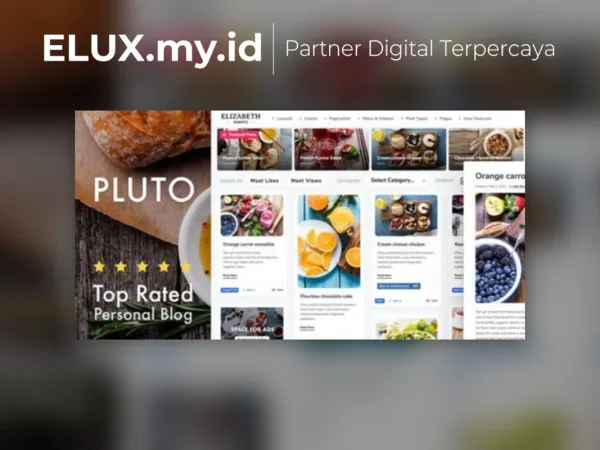 Tampilan Pluto Clean Personal Wordpress Masonry Blog Theme