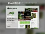 Shrimp Aquarium Hobby Shop Elementor Template Kit Shrimp Aquarium Hobby Shop Elementor Template Kit