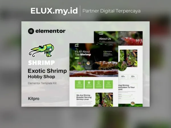 Foto Asli Shrimp Aquarium Hobby Shop Elementor Template Kit Lifetime Unlimited