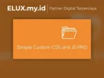 Simple Custom Css And Js Pro Silkypress Wordpress