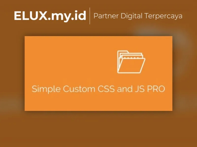 Jual Simple Custom Css And Js Pro Silkypress Wordpress Plugin