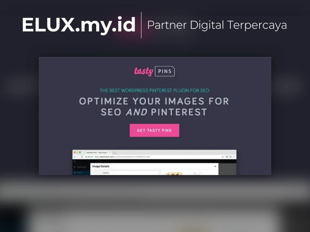Marketplace Theme, Plugin & Template WordPress Premium Lisensi Resmi Tasty Pins The WordPress Pinterest Plugin For Seo And