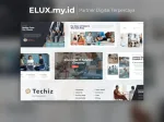 Techiz It Solutions Services Company Elementor