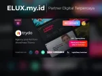Trydo - Agency & Portfolio Theme Wordpress Trydo Agency Portfolio Wordpress Theme