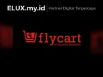 Woocommerce Discount Rules Pro By Flycart Wordpress Plugin Woocommerce Discount Rules Pro By Flycart