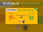 Woocommerce Recover Abandoned Cart