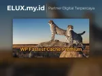 WP Fastest Cache Premium - The Wordpress Plugin Wp Fastest Cache Premium The Fastest Wordpress