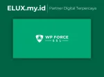 WP Force Ssl Pro - Fix On Any Wordpress Site Plugin Wp Force Ssl Pro Fix Ssl On Any Wordpress Site