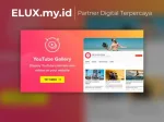 Youtube Plugin Wordpress Gallery Youtube Plugin Wordpress Youtube Gallery